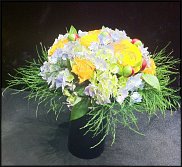 www.floristic.ru - .    -  2012 