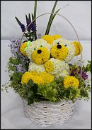 www.floristic.ru - .    -  2012 