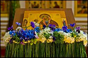 www.floristic.ru - .    (   , , )