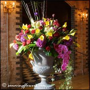 www.floristic.ru - . !!!!!