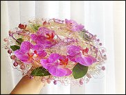 www.floristic.ru - .   