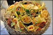 www.floristic.ru - . Gregor Lersch