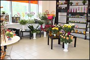 www.floristic.ru - .   