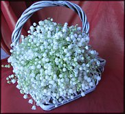 www.floristic.ru - .  