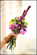 www.floristic.ru - .    -  2012