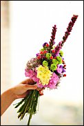 www.floristic.ru - .    -  2012