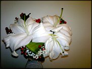 www.floristic.ru - .  