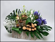 www.floristic.ru - . ,  .