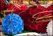 www.floristic.ru - .     