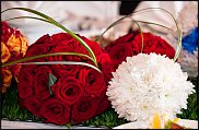 www.floristic.ru - .     