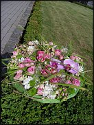 www.floristic.ru - .  .