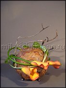 www.floristic.ru - .  . Mila Shumann.