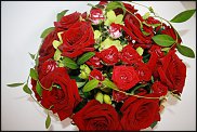 www.floristic.ru - . ,  .