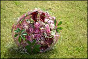 www.floristic.ru - .  