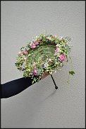 www.floristic.ru - .  