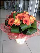 www.floristic.ru - .       ...