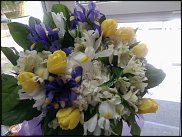 www.floristic.ru - .       ...