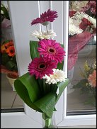 www.floristic.ru - .       ...