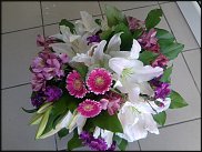 www.floristic.ru - .       ...