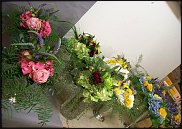 www.floristic.ru - .       ...