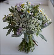 www.floristic.ru - .  