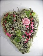 www.floristic.ru - .  