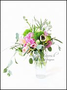 www.floristic.ru - . 