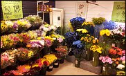 www.floristic.ru - .       ...