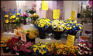 www.floristic.ru - .       ...