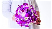 www.floristic.ru - .  .