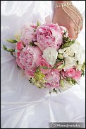 www.floristic.ru - .   