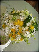 www.floristic.ru - .  .