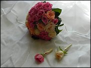 www.floristic.ru - .  .