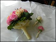 www.floristic.ru - .  .