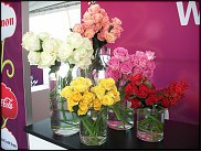 www.floristic.ru - .   .