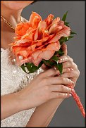 www.floristic.ru - . 