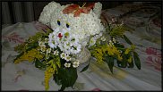 www.floristic.ru - .   ....