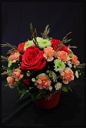 www.floristic.ru - .       ...