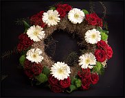 www.floristic.ru - .  ....   .