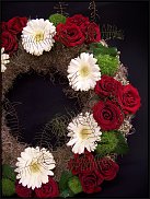 www.floristic.ru - .  ....   .