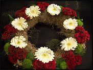 www.floristic.ru - .  ....   .