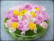 www.floristic.ru - .  .