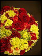 www.floristic.ru - .  .