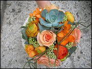 www.floristic.ru - .  - Ranunculus