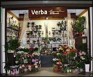 www.floristic.ru - .   