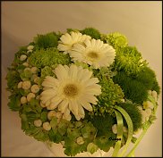 www.floristic.ru - .  