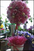 www.floristic.ru - .     -,  ..