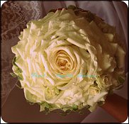 www.floristic.ru - .  .