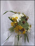 www.floristic.ru - .   