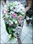 www.floristic.ru - . !!!!!